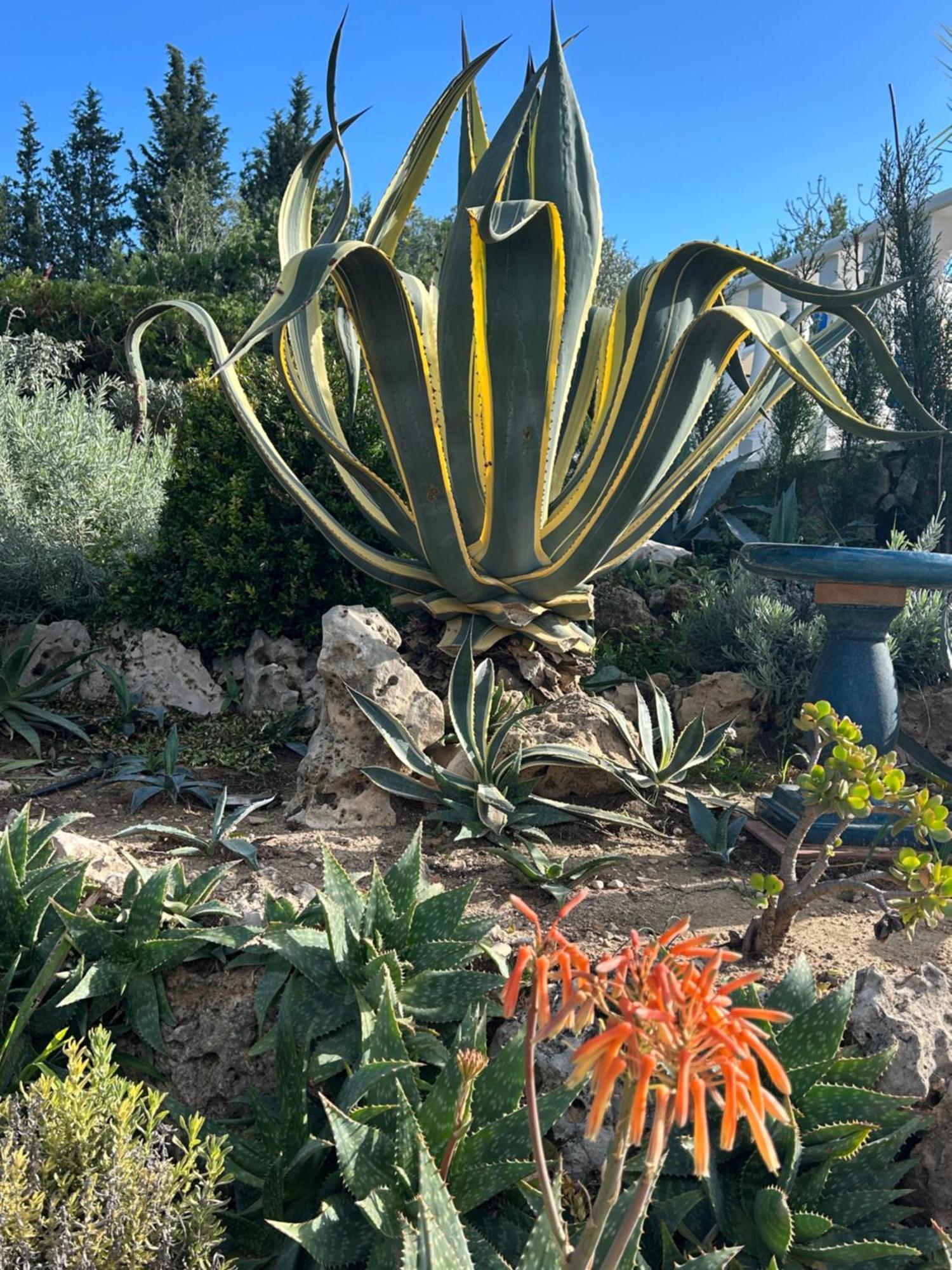 Finca Malata Turís 外观 照片