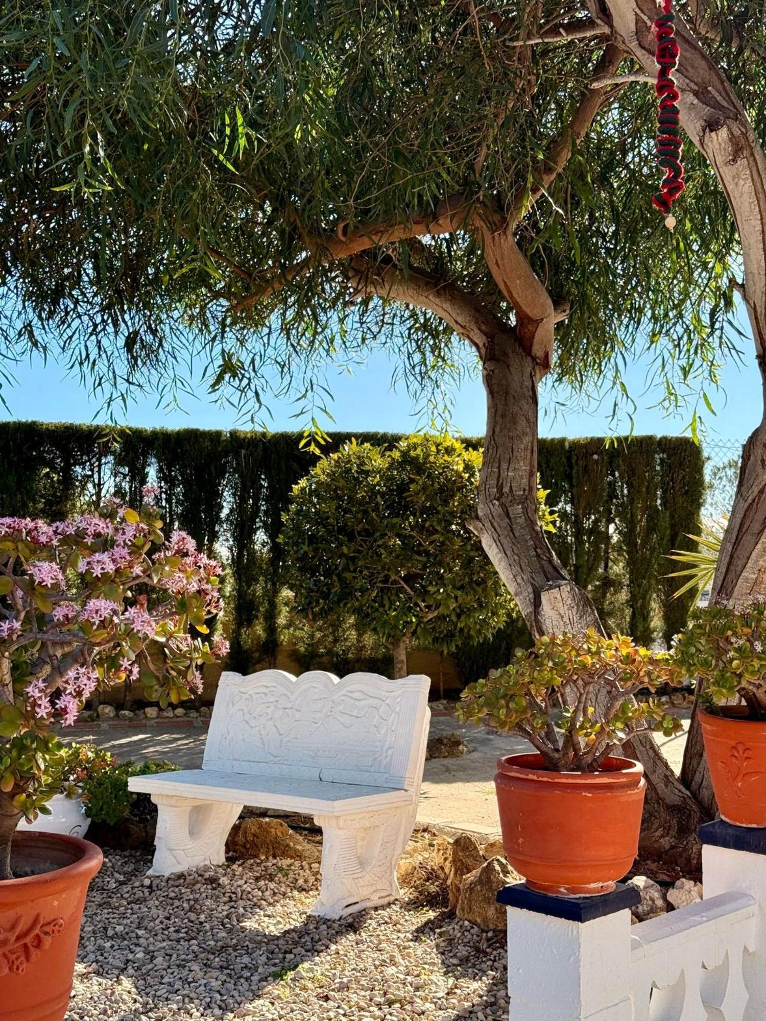 Finca Malata Turís 外观 照片